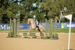 SBM_15095