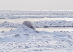 Ice Volcano--Long Point Beach