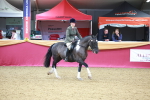 SBM_06152