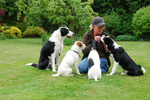 One woman and her dogs!
