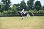 WJ6_7935