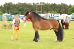 SBM_06328