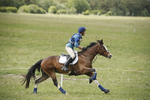 BVHT 140517  NXC -188