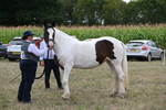 WJ6_5561