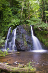 Fairy Glen, Rosemarkie - 0137