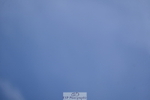 260705A-121307-19438