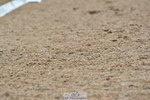 230415A-121034-01361