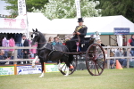 SBM_05928