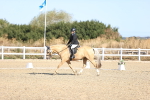 SBM_012511