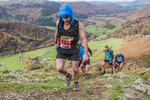 Stybarrow Dodd-540