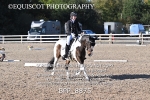 BPP_8875
