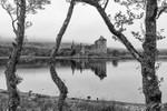 Tree and Kilchurn Castle (2)