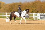 SBM_001704