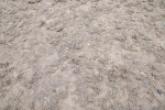 SBM_013059