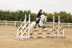 SBM_008533