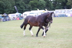SBM_11270