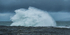 DSCF7348