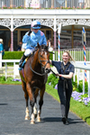 230526-Race 1-Lord Roxby-5841
