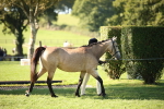 SBM_36537