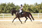 SBM_007538