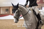 BPP_8603