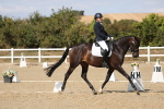 SBM_022595