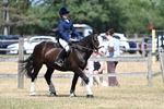 WJ7_3679