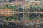 Autumn reflections, Llyn Gwynant