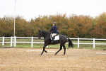 SBM_001878