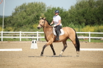 SBM_007854