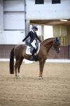 Class 15 - FEI Youth Class - 8.30-9.38 portfolio