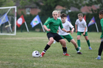 The Croft V Tregoze portfolio