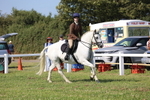 JPP_1774