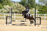 SBM_007463