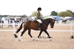 SBM_09003