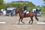 BPP_5460