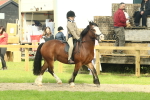 SBM_69019