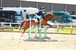 SBM_000343