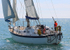 140729 SCOT FREE GBR1443T WT7A1842