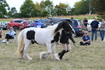 WJ6_6651