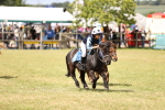 SBM_16528