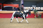 SBM_10682