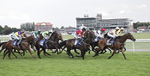  YORK RACES