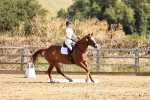 SBM_001343