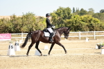 SBM_017406