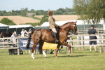 SBM_09654