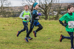 Cunswick U13-60