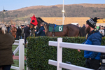250125-Race 7-Sixmilebridge-3852
