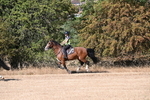 WJ6_7575