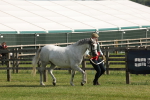 SBM_00772
